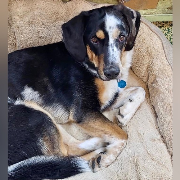 Meet your Posher, Beverly - Picture 4 of 16